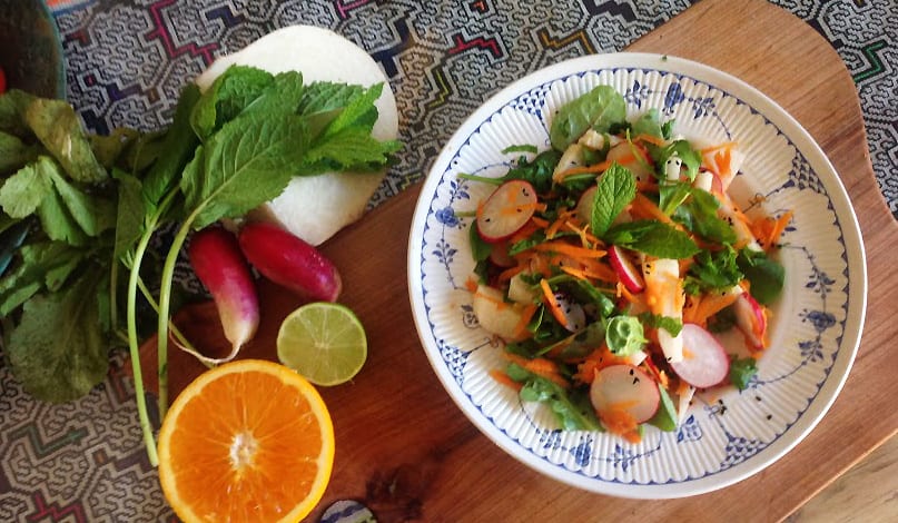 Antihistamine Mint, Radish, & Jicama Prebiotic Salad