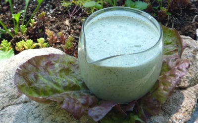 Lower-histamine Ranch Dressing Recipe