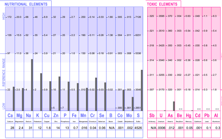 Assessments & Lab Tests for Migraine