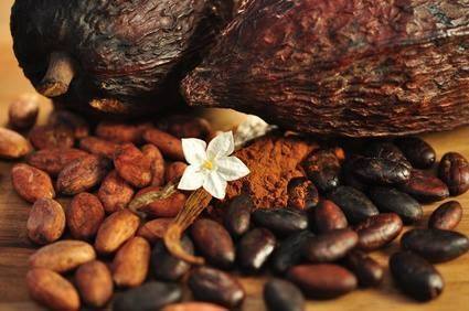 Migraine Cravings & Triggers Explained: Chocolate