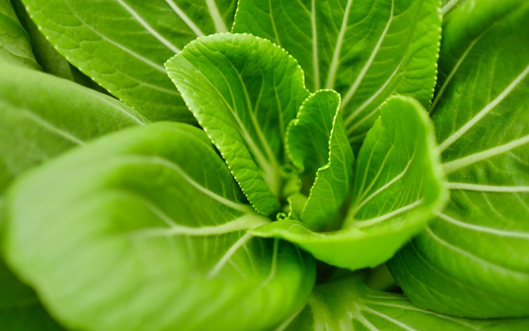 This May Be One of the Most Overlooked Vitamins for Resolving Migraine