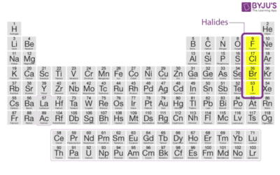 Why You Need to Avoid Toxic Halides