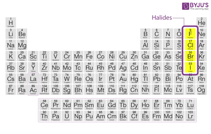 Why You Need to Avoid Toxic Halides
