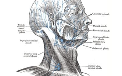 Problems with Hearing Loss, Vertigo, and Tinnitus in Migraine