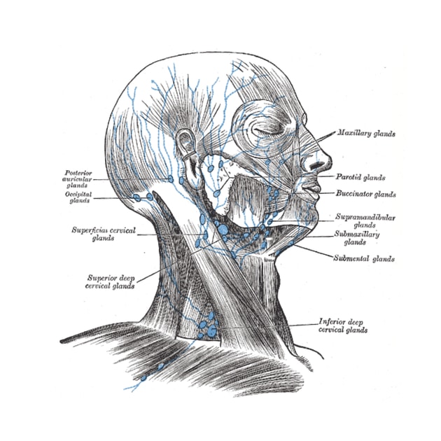 Problems with Hearing Loss, Vertigo, and Tinnitus in Migraine